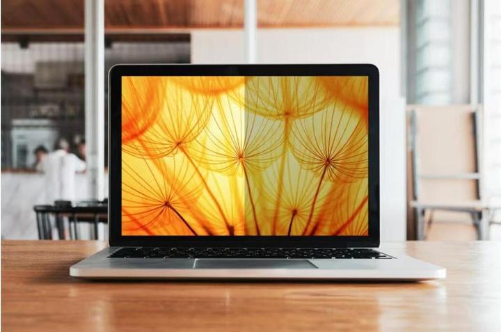 Actual product image 3M BPNDE001 View Protector. 16:10 Bright Scr.Dell Multi-Line 13.4 (13.39", 16 : 10)