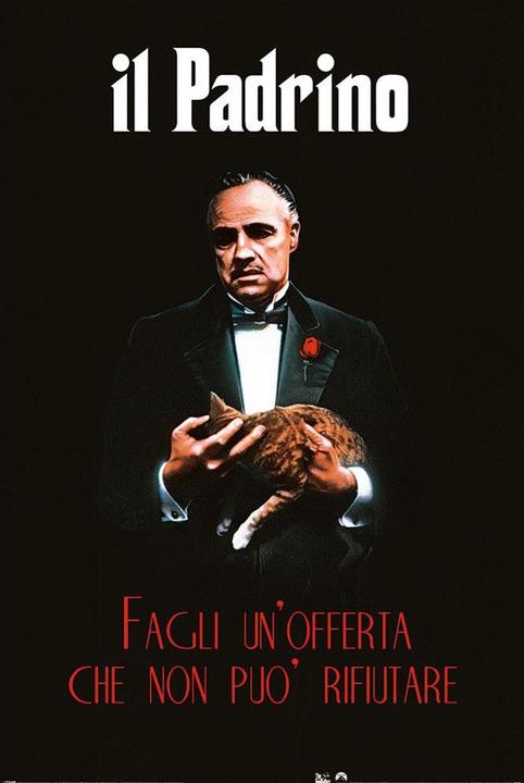 The Godfather Poster Il Padrino (61 x 91 cm)