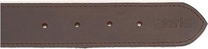 Actual product image Gloria Dog collar brown 75 cm (75 x 4 cm) (Leather)