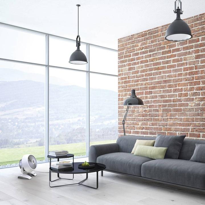 Immagine prodotto Vornado 6303dc