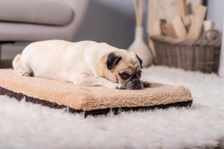 Produktbild Sabro Jokkmokk Berberfleece Hundeliegematte (Hund)