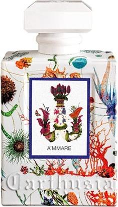 Carthusia A'mmare (Eau de parfum, 100 ml)