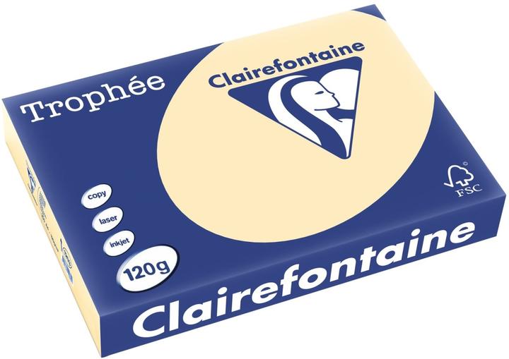 Chamois