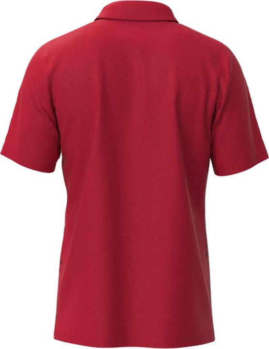 Actual product image Mizuno Chiba Polo M (XXL)