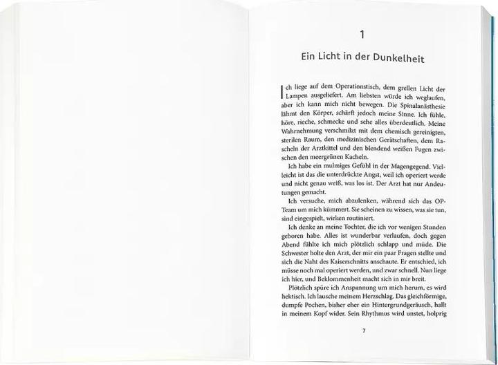 Actual product image Der Gesang des Eises (German, Annabelle Wimmer Bakic, 2022)