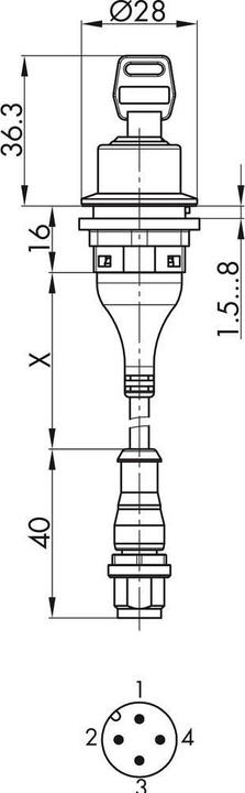 Actual product image Schlegel SSSA12OI M01 Key button 1pc.