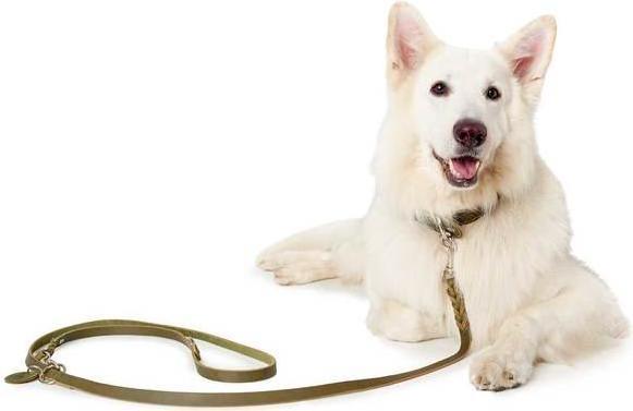 Produktbild Hunter Verstellbare Führleine Solid Education (Hund, Hundesport)