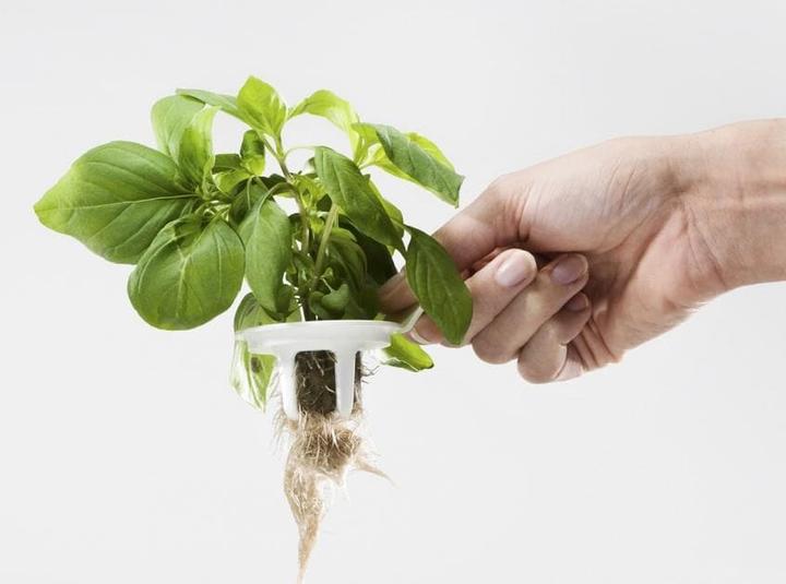 Produktbild Plantui Smart Garden 6 (29 cm)