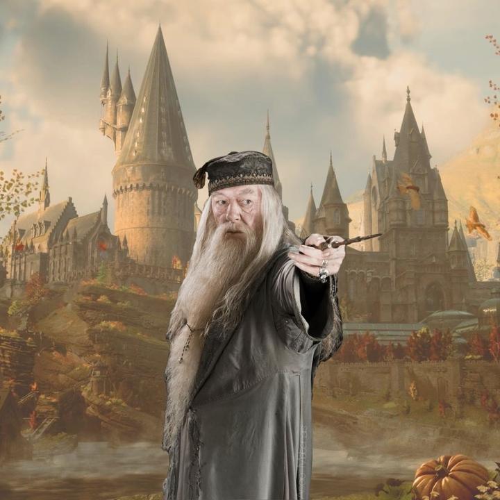 Produktbild Noble Collection Albus Dumbledore's Zauberstab