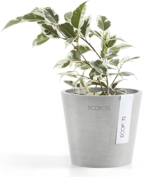 Produktbild Ecopots Amsterdam Mini (10.50 cm)
