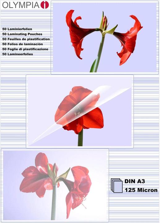 Olympia Feuilles de plastification (A3, 50 pièce(s), 125 µm)