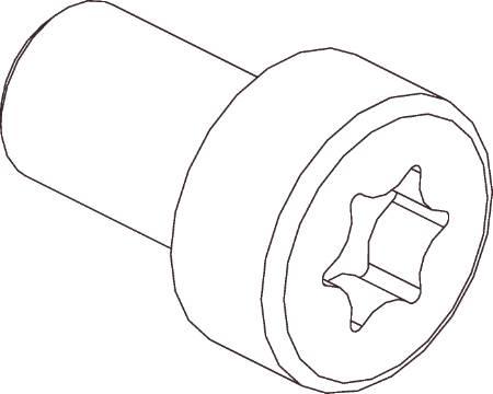 Actual product image Cubic Cheese head screw torx 3101-0816