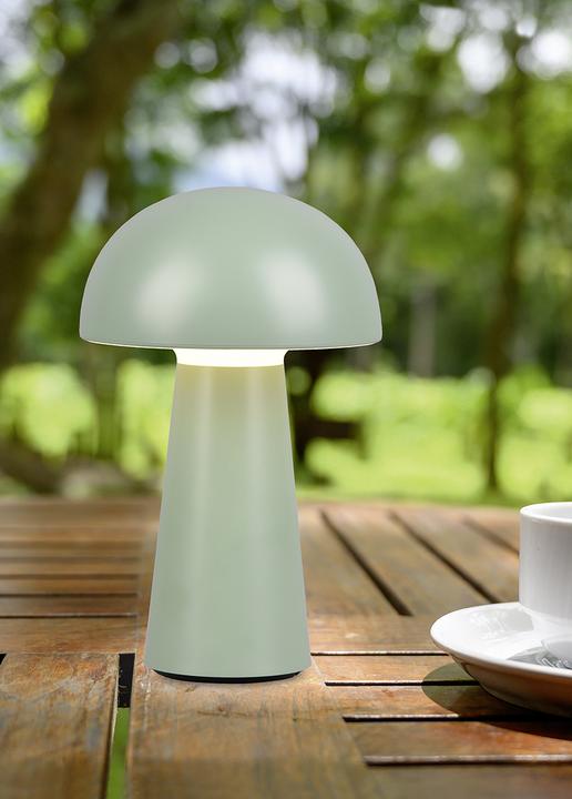 Actual product image Trio Lennon (180 lm)