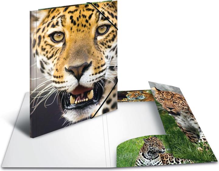 Produktbild HERMA Sammelmappe A4 Motiv (A4, 1 x)