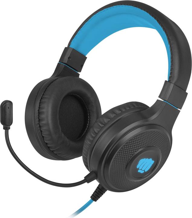 Image du produit Fury Warhawk (Filaire)
