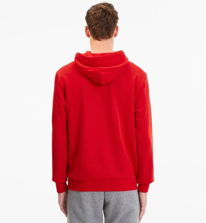 Actual product image Puma TeamGoal 23 Casuals Hoodie Men (S)