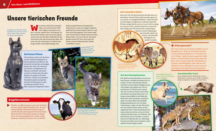 Immagine prodotto Tessloff Haustiere. Unsere liebsten Freunde (Tedesco, Annette Hackbarth, 2018)