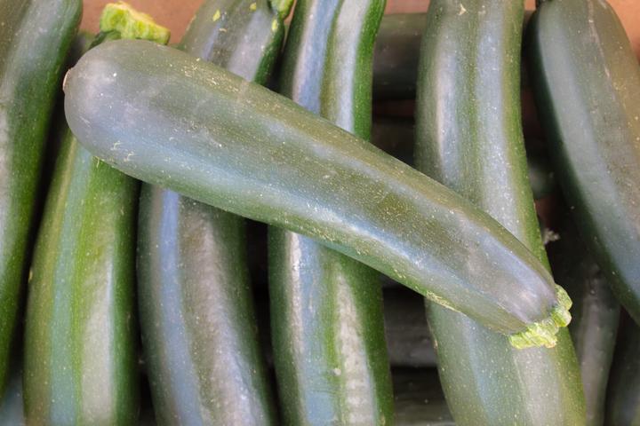 Produktbild Living Seeds Zucchini Black Beauty (Gemüsesamen)