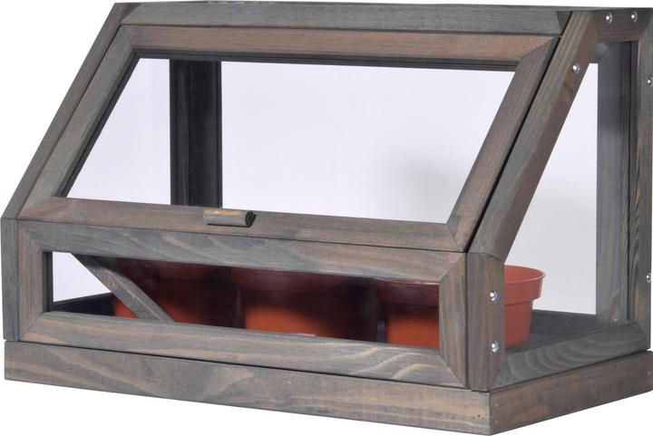 Dobar Mini serra con vasi