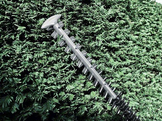 Produktbild Bosch Professional Ghe 60 T (Akkuheckenschere)