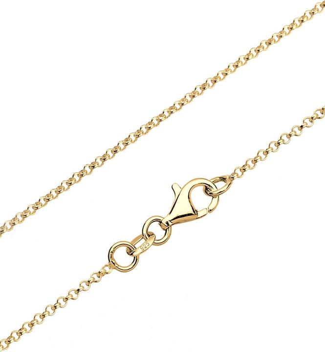 Produktbild Elli Halskette Hufeisen Glück Zirkonia 925 Sterling Silber (925er Sterling Silber, Zirkonia, 45 cm)