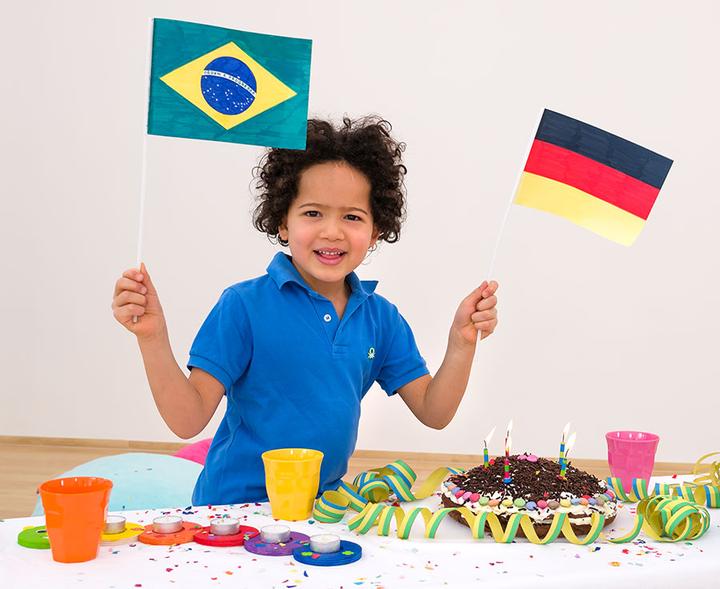 Actual product image Folia Flag on stick, rectangle