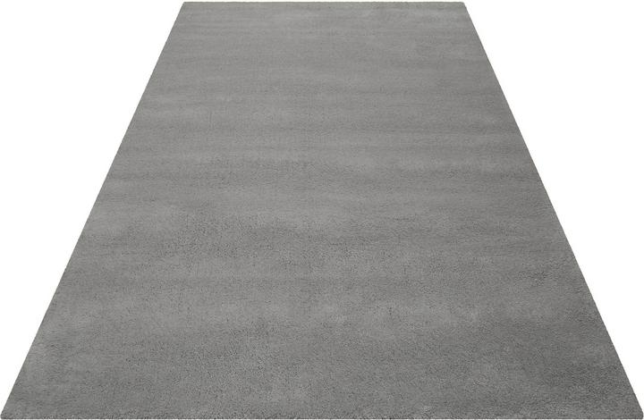 Actual product image Esprit Greenwood Rug (70 x 140 cm)
