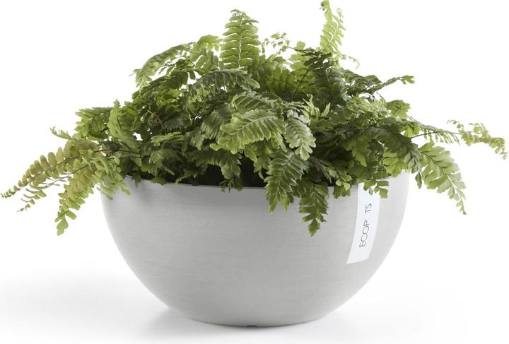Actual product image Ecopots Brussels (25 cm)