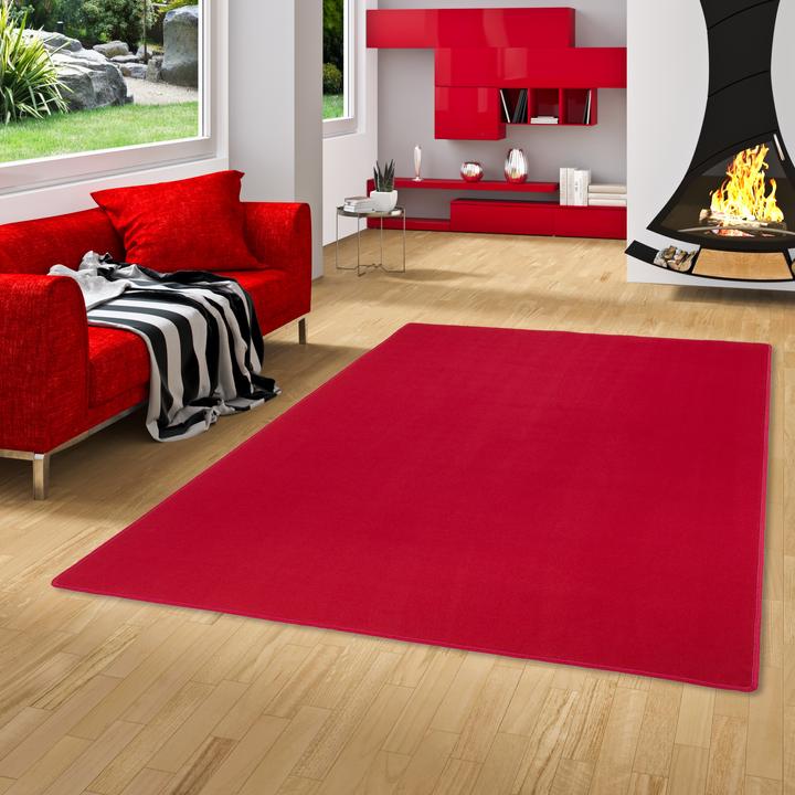 Image du produit Snapstyle Basic Velours Tapis Carla (80 x 160 cm)