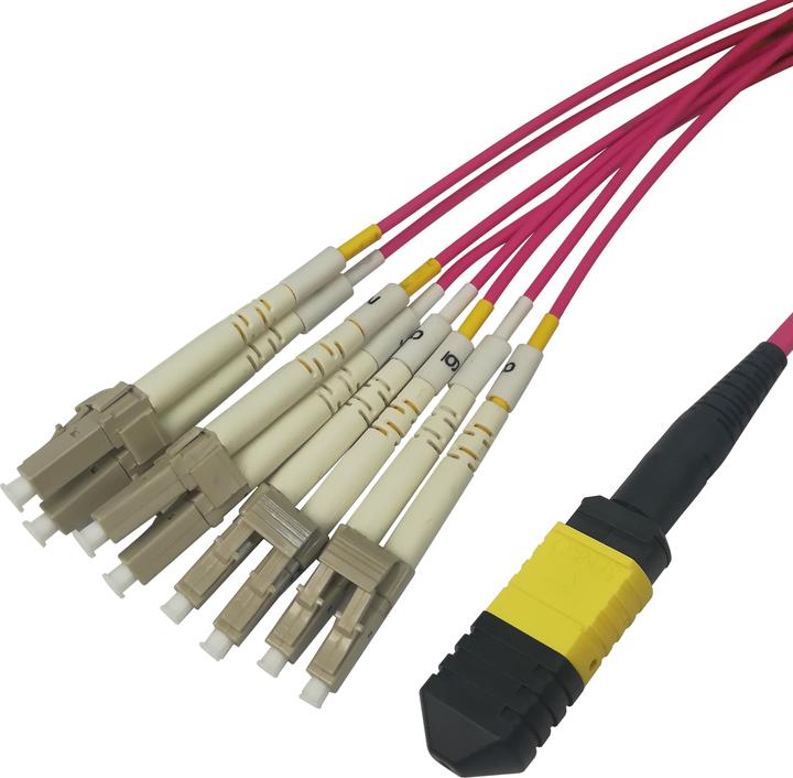Immagine prodotto Deltaco MPO12LC-42 (S/UTP, CAT6)