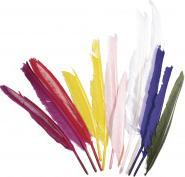 Image du produit Rayher Plume indienne, mélangée, 12 pièces