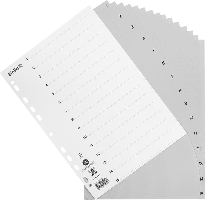 Immagine prodotto Biella Registro PP