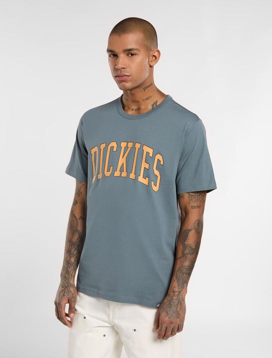 Image du produit Dickies Aitkin Tee Stormy Weather (M)