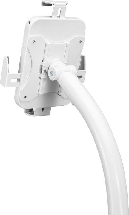 Immagine prodotto Maclean Supporto pubblicitario per tablet MC-467W