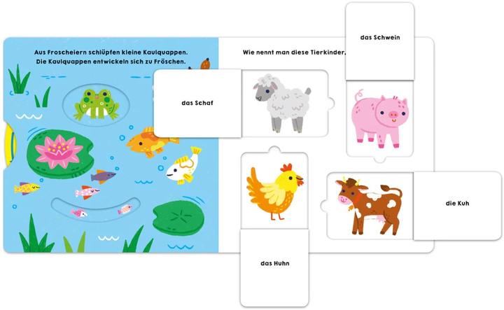 Image du produit Poisson chanceux : tout pousse! (Allemand)