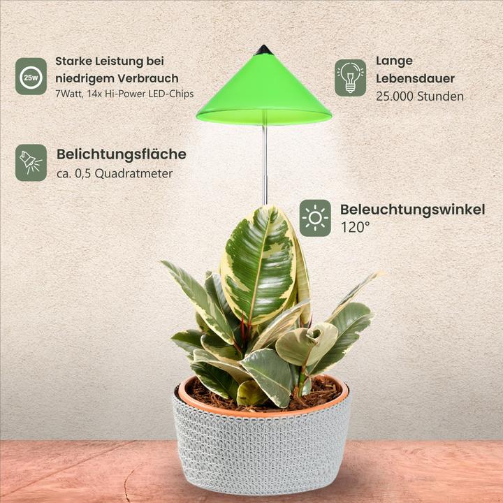 Immagine prodotto Colibri Sunlite (LED, 230 V)