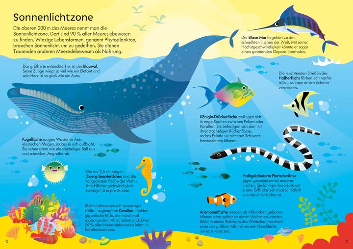 Produktbild Puzzle & Buch: Tiere im Ozean (300 Teile)