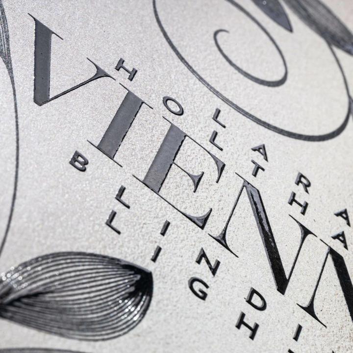 Produktbild Vienna 1: Blinding Lights (Deutsch, Lara Holthaus, 2024)