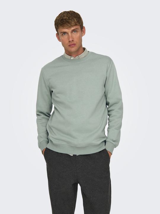 Produktbild Only & Sons Onsconnor Reg Crew Neck Sweat Noos (L)