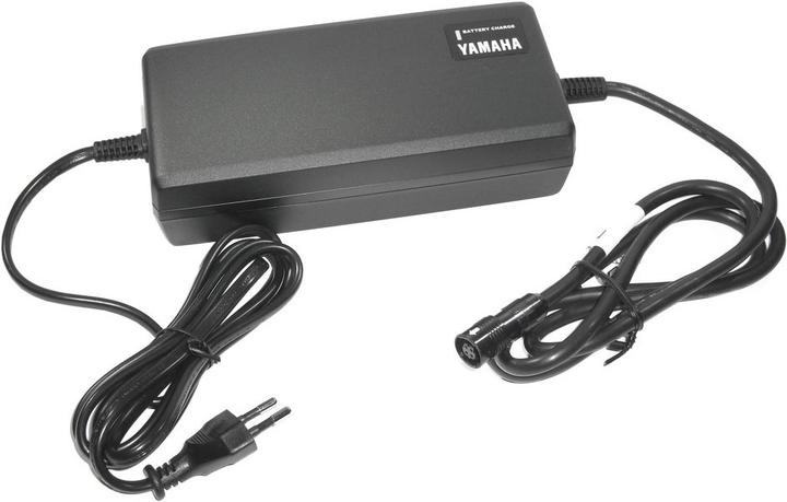 Immagine prodotto Yamaha Standard (Caricabatterie per biciclette elettriche)
