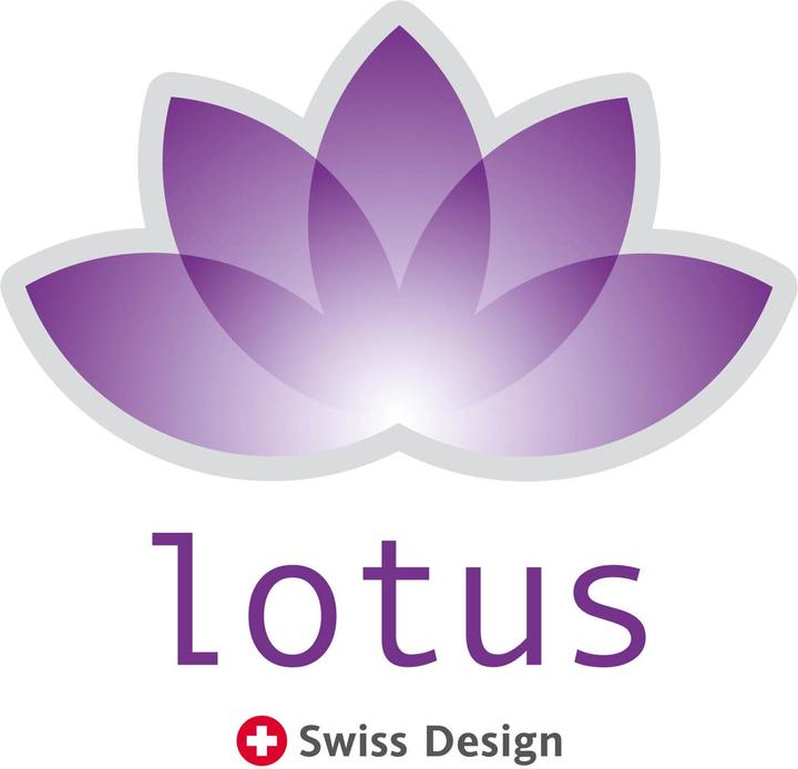 Immagine prodotto Lotus Bettwaren Biancheria da letto per bambini in raso uni