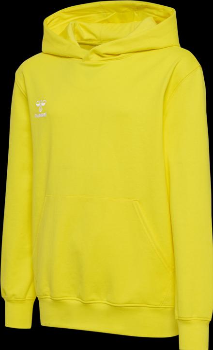 Actual product image hummel HMLGO 2.0 HOODIE KIDS (164)