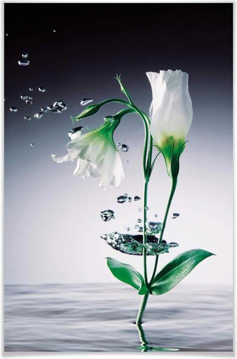 Produktbild Wizard + Genius Crystal Flowers (115 x 175 cm)