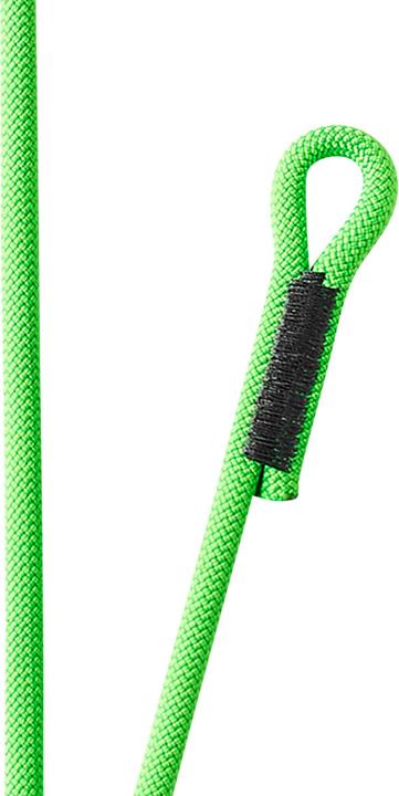 Actual product image Edelrid Switch Double Adjust