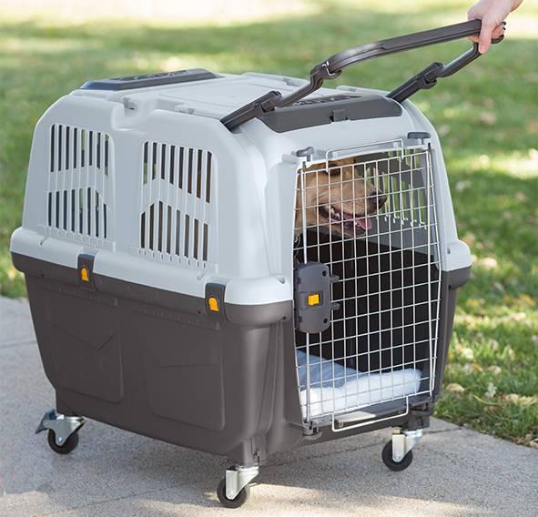 Produktbild Skudo 4 Iata (Hund, Sicherheitsverschluss)