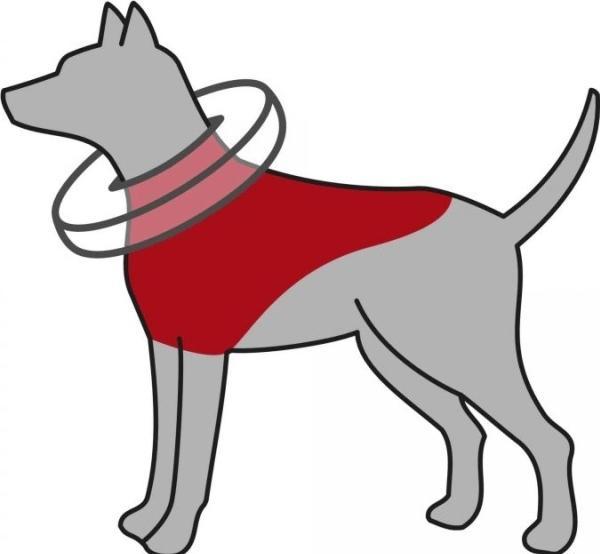 Actual product image Trixie Protection collar inflatable S-M (Dog)