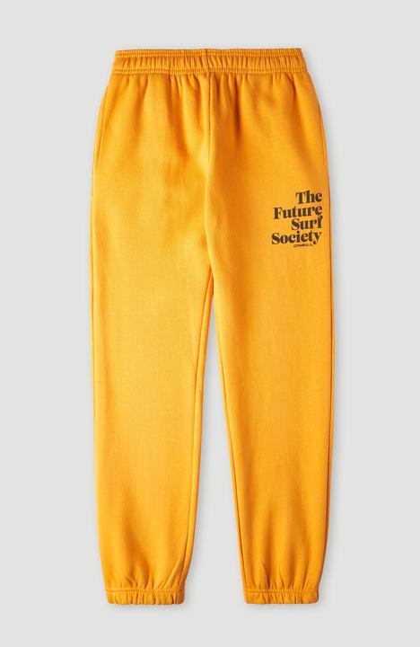 Produktbild O'Neill Future Surf Jogger Pants (128)