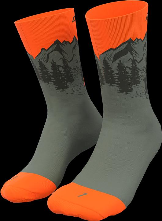 Immagine prodotto Dynafit Calzini Stay Fast Unisex (35 - 38)