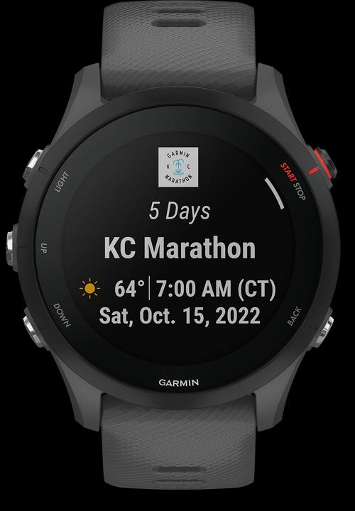 Actual product image Garmin Forerunner 255 (46 mm)