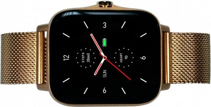 Immagine prodotto Maxcom Adatto per FW55 Aurum Pro Gold (44 mm)